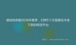 借钱到余额2026年推荐，归纳5个无视黑花半夜下款的网贷平台