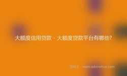 大额度信用贷款 - 大额度贷款平台有哪些?