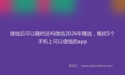 借钱后可以随时还吗微信2026年精选，概括5个手机上可以借钱的app