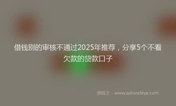 借钱别的审核不通过2025年推荐，分享5个不看欠款的贷款口子