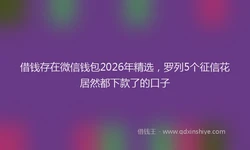 借钱存在微信钱包2026年精选，罗列5个征信花居然都下款了的口子
