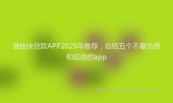 借钱快贷款APP2025年推荐，总结五个不看负债和征信的app