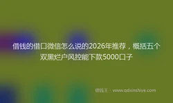 借钱的借口微信怎么说的2026年推荐，概括五个双黑烂户风控能下款5000口子