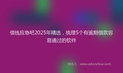 借钱应急吧2025年精选，梳理5个有逾期借款容易通过的软件
