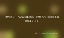 借钱借了三万2025年精选，罗列五个夜间秒下款的14天口子