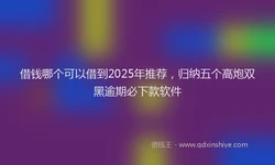 借钱哪个可以借到2025年推荐，归纳五个高炮双黑逾期必下款软件