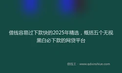 借钱容易过下款快的2025年精选，概括五个无视黑白必下款的网贷平台