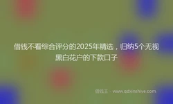 借钱不看综合评分的2025年精选，归纳5个无视黑白花户的下款口子