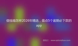 借钱喵怎样2026年精选，盘点5个逾期必下款的app