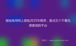 借钱急用网上借钱2025年推荐，盘点五个不看负债查询的平台