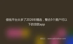 借钱平台太多了2026年精选，整合5个黑户可以下的贷款app