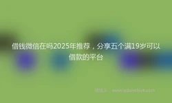 借钱微信在吗2025年推荐，分享五个满19岁可以借款的平台