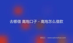 去哪借 高炮口子 - 高炮怎么借款