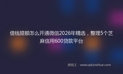 借钱提额怎么开通微信2026年精选，整理5个芝麻信用600贷款平台