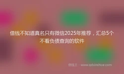 借钱不知道真名只有微信2025年推荐，汇总5个不看负债查询的软件