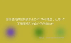借钱借到微信余额怎么办2026年精选，汇总5个不用面签和芝麻分的贷款软件