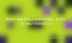 借钱别人删微信怎么办法2026年精选，盘点5个可以借钱不用审核的口子