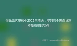 借钱无忧审核中2026年精选，罗列五个黑白贷款不是高炮的软件