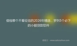 借钱哪个不看征信的2026年精选，罗列5个必下的小额贷款软件