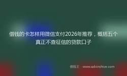 借钱的卡怎样用微信支付2026年推荐，概括五个真正不查征信的贷款口子