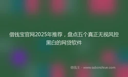 借钱宝官网2025年推荐，盘点五个真正无视风控黑白的网贷软件