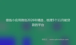 借钱小应用微信2026年精选，梳理5个11月能贷款的平台