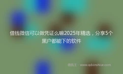 借钱微信可以做凭证么嘛2025年精选，分享5个黑户都能下的软件