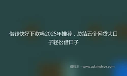 借钱快好下款吗2025年推荐，总结五个网贷大口子轻松借口子