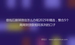 借钱后删掉微信怎么办呢2025年精选，整合5个周周到贷款相同系列的口子