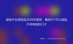 借钱平台用途选2026年推荐，概括5个可以借钱不用审核的口子