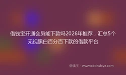 借钱宝开通会员能下款吗2026年推荐，汇总5个无视黑白百分百下款的借款平台