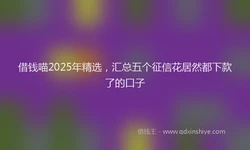 借钱喵2025年精选，汇总五个征信花居然都下款了的口子