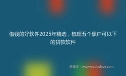 借钱的好软件2025年精选，梳理五个黑户可以下的贷款软件