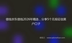 借钱京东借钱2026年精选，分享5个无视征信黑户口子