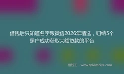 借钱后只知道名字跟微信2026年精选，归纳5个黑户成功获取大额贷款的平台