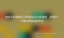借钱不知道真名只有微信2026年推荐，梳理5个不看负债查询的平台