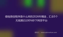 借钱微信程序是什么样的2026年精选，汇总5个无视黑白100%秒下网贷平台