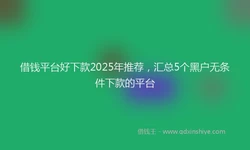 借钱平台好下款2025年推荐，汇总5个黑户无条件下款的平台