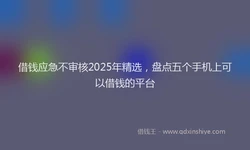 借钱应急不审核2025年精选，盘点五个手机上可以借钱的平台