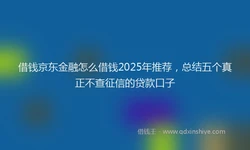 借钱京东金融怎么借钱2025年推荐，总结五个真正不查征信的贷款口子