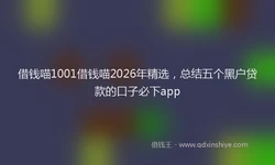 借钱喵1001借钱喵2026年精选，总结五个黑户贷款的口子必下app