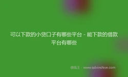 可以下款的小贷口子有哪些平台 - 能下款的借款平台有哪些