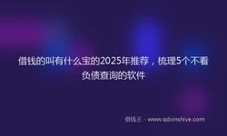 借钱的叫有什么宝的2025年推荐，梳理5个不看负债查询的软件