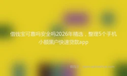 借钱宝可靠吗安全吗2026年精选，整理5个手机小额黑户快速贷款app