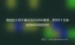 借钱的小贷不看征信2026年推荐，罗列5个芝麻信用600贷款软件