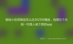 借钱小应用微信怎么还2025年精选，梳理五个无视一切是人就下款的app