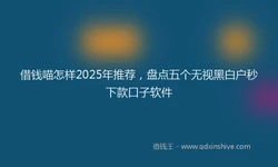 借钱喵怎样2025年推荐，盘点五个无视黑白户秒下款口子软件