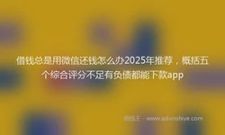 借钱总是用微信还钱怎么办2025年推荐，概括五个综合评分不足有负债都能下款app