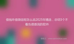 借钱咋借微信呢怎么说2025年精选，总结5个不看负债查询的软件
