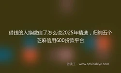 借钱的人换微信了怎么说2025年精选，归纳五个芝麻信用600贷款平台